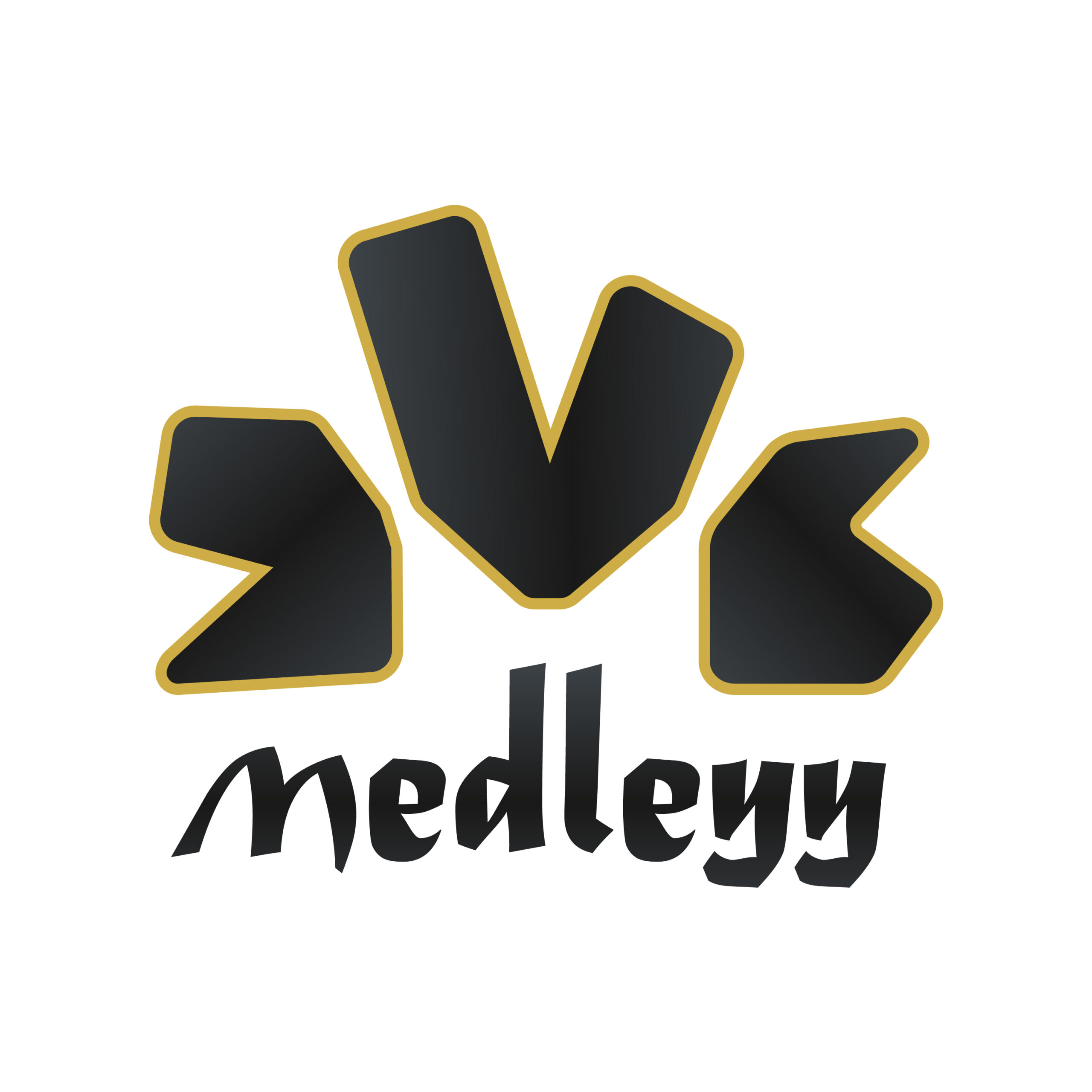medleyy.com